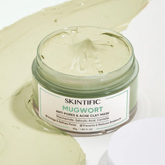 SKINTIFIC Mugwort Anti Pores & Acne Clay Mask